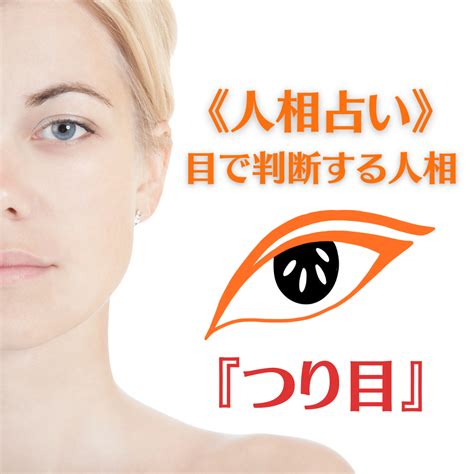 象眼 人相|【人相学】つり目と丸い目、金運がいいのはどっ。